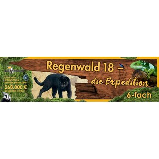 Opal 6-fach Regenwald 18